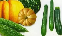 南山学院 吃瓜,揭秘校园“吃瓜”文化背后的故事