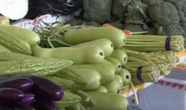 吃甲亢药可以吃葫芦瓜吗,食用指南与注意事项