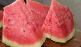 西瓜只吃石头瓜吗